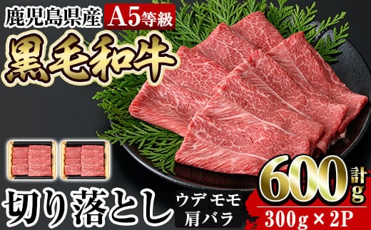 a855 ≪A5等級≫鹿児島県産黒毛和牛切り落とし計600g(300g×2P)【水迫畜産】国産 肉 牛肉 牛 黒毛和牛 切落し 切り落とし ウデ モモ 肩バラ