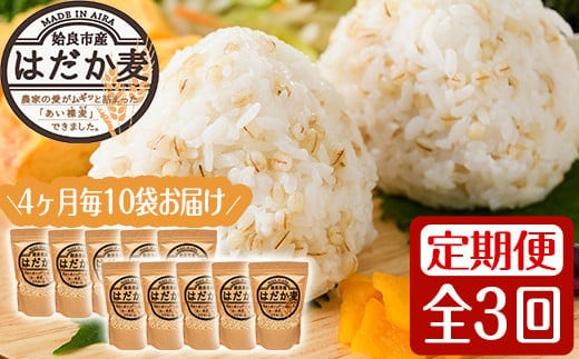 a767 《数量限定・定期便全3回》姶良市産はだか麦(計12kg・400g×10袋×3回)【竹之内穀類産業】