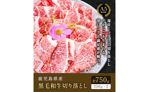 鹿児島県産黒毛和牛切落し250ｇ×3パック 株式会社カミチク 《90日以内に出荷予定(土日祝除く) 》 鹿児島県産 A5 黒毛和牛 和牛 切落し 250ｇ×3パック 計750g---stm-kmc-15-750g---
