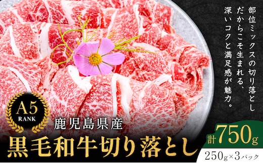 鹿児島県産黒毛和牛切落し250ｇ×3パック LRプラスK 《90日以内に出荷予定(土日祝除く) 》 鹿児島県産 A5 黒毛和牛 和牛 切落し 250ｇ×3パック 計750g---stm-kmc-15-750g---