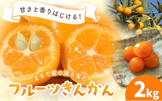 フルーツきんかん 2kg 北さつま農協《1月上旬-2月中旬頃出荷》 鹿児島県 さつま町 送料無料 金柑 きんかん 柑橘 フルーツ 果物---stm-ksn-10-2kg---