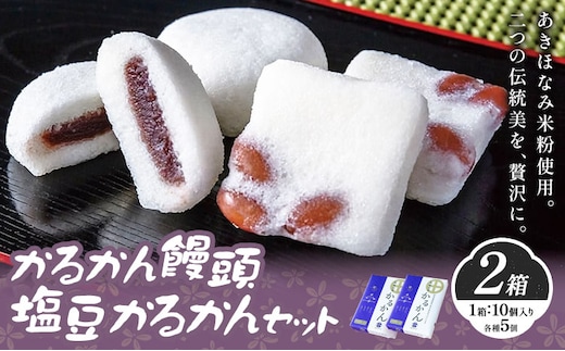 かるかん饅頭 塩豆かるかん セット 10個入り×2セット 各種5個 北さつま農協《60日以内に出荷予定(土日祝除く)》 鹿児島県 さつま町 饅頭 贈答 お土産 プレゼント 箱菓子---stm-ksn-16-2s---