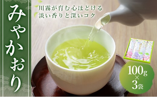 お茶 緑茶 みやかおり 100g×3袋 北さつま農協 《30日以内に出荷予定(土日祝除く)》 鹿児島県 さつま町 送料無料 お茶 緑茶 茶葉 日本茶 煎茶 セット ギフト お土産---stm-ksn-3-300g---