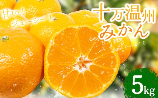 十万温州みかん 5kg 北さつま農協《1月上旬-1月末頃出荷》 鹿児島県 さつま町 送料無料 柑橘 みかん 温州みかん 十万みかん---stm-ksn-14-5kg---