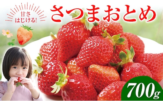 苺 いちご さつまおとめ 700g 北さつま農協《1月上旬-2月末頃出荷》鹿児島県 さつま町 送料無料 いちご 苺 イチゴ フルーツ 果物 先行予約 産地直送---stm-ksn-9-700g---