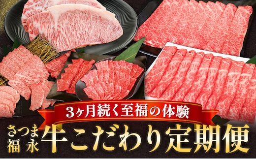 さつま福永牛 こだわり 定期便 サーロインステーキ 280g × 2 焼肉セット 上カルビ 赤身 すき焼きセット 肩ロース 赤身 福永畜産《お申込みの翌月出荷》 鹿児島県 さつま町 和牛 福永牛 定期便 サーロイン ステーキ 焼肉 上カルビ 赤身---stm-hng-8-mo3---