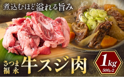 さつま福永牛 スジ肉 500g × 2パック 福永畜産《30日以内に出荷予定(土日祝除く)》 鹿児島県 さつま町 和牛 福永牛 スジ肉 煮込み カレー コラーゲン---stm-hng-13-2p---