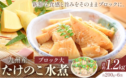 たけのこ 水煮 詰め合わせ ブロック大 九州産 計約1.2kg 約200g×6袋 北薩農産加工場《30日以内に出荷予定(土日祝除く)》鹿児島県 さつま町 送料無料 惣菜 タケノコ 筍 竹の子 パック 水煮 お取り寄せグルメ---stm-ksk-3-1200g---