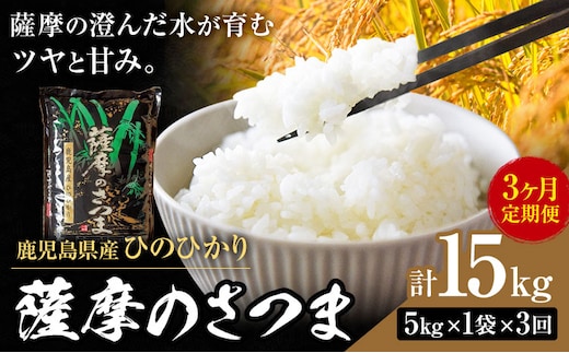 【3ヶ月定期便】令和7年産 薩摩のさつま ひのひかり 5kg×1袋×3回 計15kg 北さつま農協《お申込み翌月から出荷》鹿児島県 さつま町 米 こめ コメ お米 精米 白米 ヒノヒカリ 鹿児島県産---stm-ksn-21-15kg---