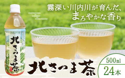 北さつま茶 500ml×24本 北さつま農協《30日以内に出荷予定(土日祝除く)》鹿児島県 さつま町 日本茶 緑茶 新茶 一番茶 ペットボトル---stm-ksn-17-24p---