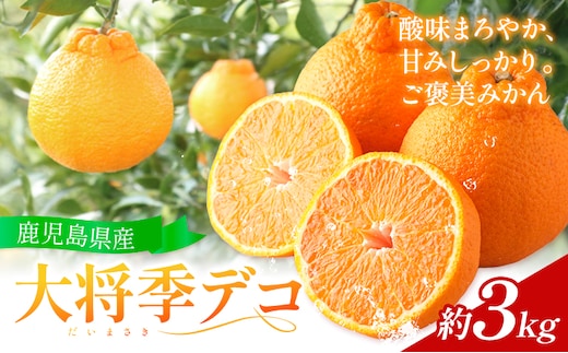 【先行予約】 大将季（だいまさき）みかん 大将季デコ 3kg よしたか農園 《2027年2月上旬-3月下旬頃出荷》鹿児島県 さつま町 不知火 しらぬい 柑橘 かんきつ フルーツ 果物 くだもの 鹿児島県産 3キロ 送料無料 旬---stm-yos-14-2p---
