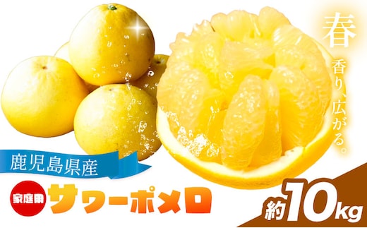【先行予約】家庭用 みかん サワーポメロ 10kg よしたか農園 《2027年2月上旬～3月下旬頃出荷》鹿児島県 さつま町 サワーポメロ 文旦 ぶんたん 柑橘 かんきつ フルーツ 果物 くだもの 鹿児島県産 10キロ 送料無料 旬 ご家庭用 訳あり---stm-yos-16-10kg---