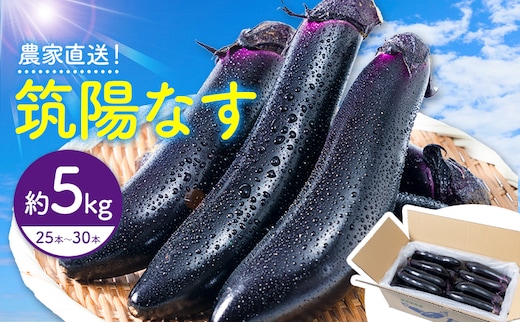 筑陽なす 約5kg 25-30本 さつま園芸組合《7月上旬-9月末頃出荷》鹿児島県 さつま町 茄子 なす ナス なすび 野菜---stm-sek-1-5kg---