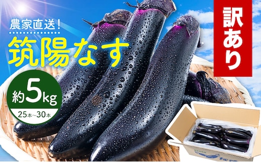訳あり 筑陽なす 約5kg 25-30本 さつま園芸組合《7月上旬-9月末頃出荷》鹿児島県 さつま町 茄子 なす ナス なすび 野菜 訳アリ ご家庭用---stm-sek-2-5kg---