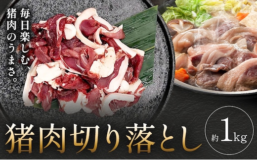 猪肉切り落とし 計約1kg ダブルビーゼット株式会社 (さつまのジビエファクトリー) 《30日以内に出荷予定(土日祝除く)》鹿児島 国産 九州産 ジビエ 冷凍 鹿児島県 さつま町 イノシシ---stm-dbs-3-1kg---