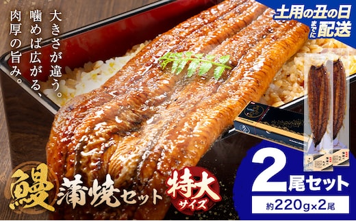 【土用の丑の日】＼特大サイズ／ 鹿児島県産 鰻蒲焼真空セット！2尾 タレ・山椒付！ 株式会社薩摩川内鰻 《7月中旬-7月下旬頃出荷》 鹿児島県 さつま町 送料無料 ウナギ 丑の日 うなぎ 刻み グルメ 特大 鰻 蒲焼 真空---stm-ung-24-do2to---