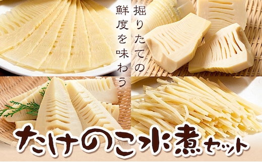 たけのこ水煮セット トライカット ブロック スライス 細切り 穂付こさんホール こさんスライス 北さつま農協《30日以内に出荷予定(土日祝除く)》鹿児島県 さつま町 たけのこ 水煮 和食 洋食 中華 詰め合わせ セット---stm-ksn-13-1s---
