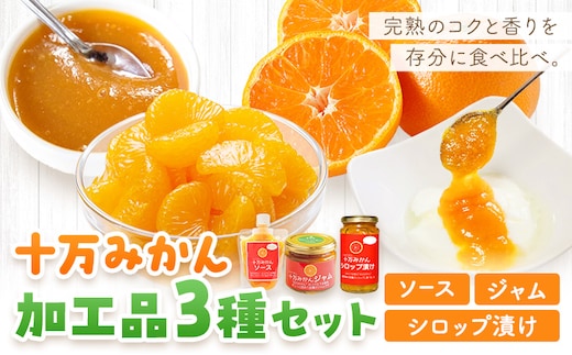 十万みかん 加工品3種セット ソース ジャム シロップ漬け 各1個 田野農園《30日以内に出荷予定(土日祝除く)》鹿児島県 さつま町 みかん 蜜柑 柑橘 果物 くだもの フルーツ ジューシー シロップ 送料無料---stm-tnn-11-3k---