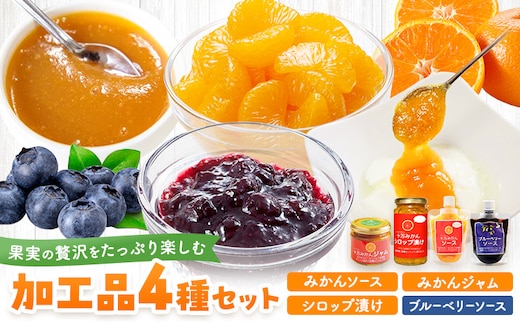 加工品4種セット ソース 2種 ジャム シロップ漬け 各1個 田野農園《30日以内に出荷予定(土日祝除く)》鹿児島県 さつま町 十万温州みかん みかん 蜜柑 柑橘 ブルーベリー 果物 くだもの フルーツ ジューシー シロップ 送料無料---stm-tnn-12-4k--
