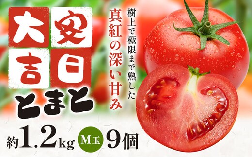 トマト とまと 大安吉日とまと 約1.2kg M玉 9個 《11月上旬-6月中旬頃出荷》 市囿庄一 鹿児島県 さつま町 野菜 やさい サラダ 料理 甘い 青果物 大安吉日トマト---stm-ich-1-1200g---