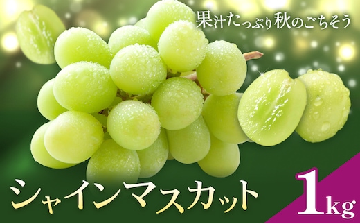 ぶどう シャインマスカット マスカット 1kg 《8月下旬-9月中旬頃出荷》 大藏果樹園 フルーツ おやつ 甘い ますかっと シャイン 果物 くだもの 鹿児島県 さつま町---stm-okr-2-1kg---