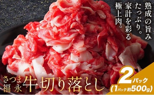 黒毛和牛 さつま福永牛 切り落とし 2パック(1パック500g) 福永畜産《30日以内に出荷予定(土日祝除く)》鹿児島 国産 九州産 肉じゃが 牛丼 冷凍 鹿児島県 さつま町 牛肉 和牛 さつま福永牛 すき焼き 食べ比べ セット---stm-hng-23-1000ga---