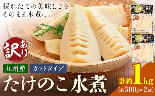 訳あり たけのこ 水煮 カットタイプ 九州産 2袋 (1袋500g) 北薩農産加工場《30日以内に出荷予定(土日祝除く)》鹿児島県 さつま町 送料無料 惣菜 タケノコ 筍 竹の子 パック 水煮 お取り寄せグルメ--- stm-ksk-14-1kg---