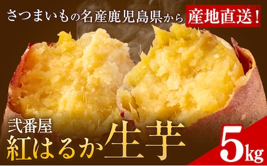 紅はるか サツマイモ 芋 5kg サイズ混合 2L-2S 弐番屋《11月上旬-2月中旬頃出荷》鹿児島県 さつま町 送料無料 さつまいも イモ 野菜 スイーツ お取り寄せグルメ---stm-nbn-4-5kg---