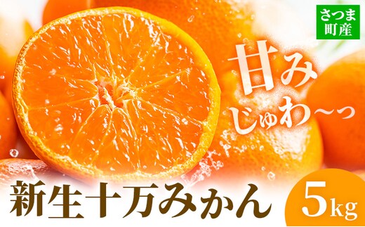鹿児島県産 新生十万みかん 約5kg 祝迫果樹園《1月中旬-2月中旬頃出荷》鹿児島県 さつま町 みかん 十万みかん 蜜柑 柑橘 果物 くだもの フルーツ ジューシー---stm-iws-5-5kg---