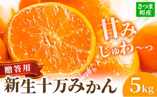 鹿児島県産 新生十万みかん 贈答用 約5kg 祝迫果樹園《1月中旬-2月中旬頃出荷》鹿児島県 さつま町 みかん 十万みかん 蜜柑 柑橘 果物 くだもの フルーツ ジューシー---stm-iws-3-5kg---