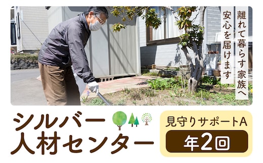 ふるさと安心 サポート 見守りサポート A 年2回 さつま町シルバー人材センター《配送無し》見守り サービス サポート 代行 代行サービス 親 高齢者 実家 帰省 祖父 祖母 家族 孝行 親孝行 安心---stm-srb-1-1p---