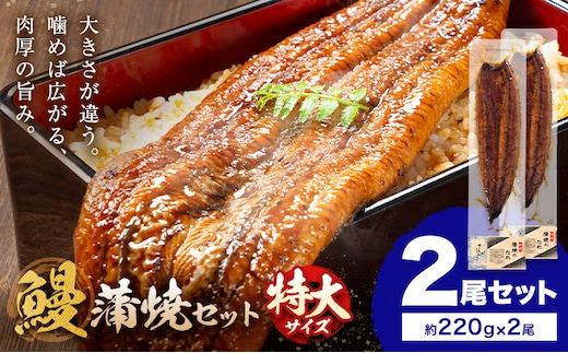 ＼特大サイズ／ 鹿児島県産 鰻蒲焼真空セット！ 2尾 タレ・山椒付！ 株式会社薩摩川内鰻《30日以内に出荷予定(土日祝除く)》鹿児島県 さつま町 送料無料 ウナギ 丑の日 うなぎ 刻み グルメ 特大 鰻 蒲焼 真空---stm-ung-11-440g---