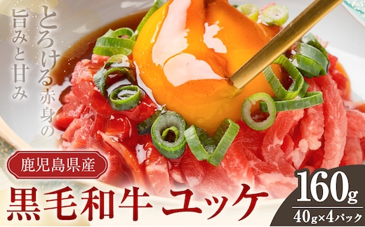 鹿児島県産黒毛和牛ユッケ 160g 40g×4パック 株式会社カミチク《90日以内に出荷予定(土日祝除く)》鹿児島県 さつま町 鹿児島県産 黒毛和牛 ユッケ 生食用 小分け タレ付き---stm-kmc-3-4p---