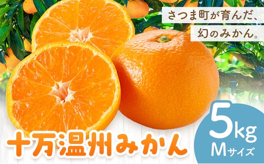 十万温州みかん M 5kg 田野農園《12月中旬-3月中旬頃出荷》鹿児島県 さつま町 みかん 蜜柑 柑橘 果物 くだもの フルーツ ジューシー 送料無料---stm-tnn-34-5kg---