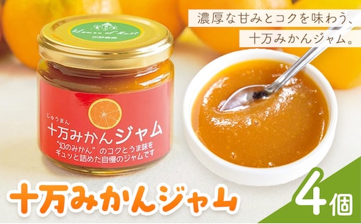 十万みかん ジャム 150g 4個 田野農園《30日以内に出荷予定(土日祝除く)》鹿児島県 さつま町 みかん 蜜柑 柑橘 果物 くだもの フルーツ ジューシー 送料無料---stm-tnn-4-4k---