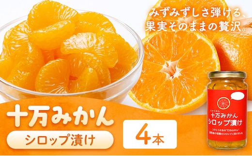 十万みかん シロップ漬け 170g 4本 田野農園《30日以内に出荷予定(土日祝除く)》鹿児島県 さつま町 みかん 蜜柑 柑橘 果物 くだもの フルーツ ジューシー シロップ 送料無料---stm-tnn-6-4k---