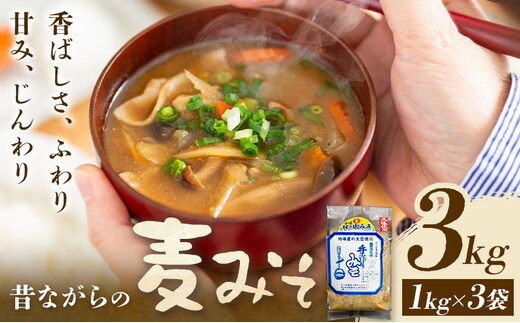 麦味噌 味噌 みそ 計3kg(1kg×3袋) さつま食品《30日以内に出荷予定(土日祝除く)》味噌汁 麦みそ 調味料 和食 豚汁 鹿児島県 さつま町---stm-ssy-1-3kg---