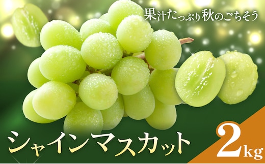ぶどう シャインマスカット マスカット 2kg 《8月下旬-10月上旬頃出荷》 大藏果樹園 フルーツ おやつ 甘い ますかっと シャイン 果物 くだもの 鹿児島県 さつま町---stm-okr-3-2kg---