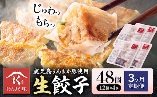 【3ヶ月定期便】鹿児島 うんまか豚 生餃子 48個 株式会社 寺師《お申込みの翌月出荷》鹿児島県 さつま町 餃子 ギョウザ 焼き餃子 水餃子---stm-trs-6-mo3---