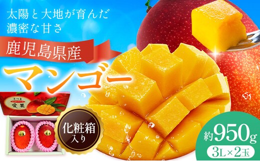 鹿児島県産 マンゴー 化粧箱入り 2玉 3L よしたか農園《5月上旬‐5月下旬頃出荷》鹿児島県 さつま町 マンゴー 果物 フルーツ 送料無料---stm-yos-12-3p---