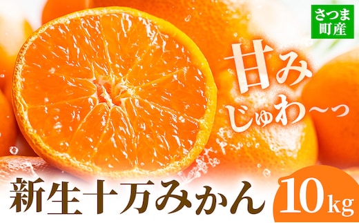 鹿児島県産 新生十万みかん 約10kg 祝迫果樹園《1月中旬-2月中旬頃出荷》鹿児島県 さつま町 みかん 十万みかん 蜜柑 柑橘 果物 くだもの フルーツ ジューシー---stm-iws-6-10kg---