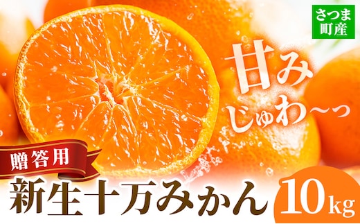 鹿児島県産 新生十万みかん 贈答用 約10kg 祝迫果樹園《1月中旬-2月中旬頃出荷》鹿児島県 さつま町 みかん 十万みかん 蜜柑 柑橘 果物 くだもの フルーツ ジューシー---stm-iws-4-10kg---