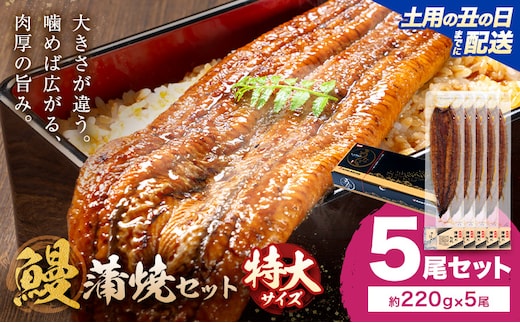 【土用の丑の日】＼特大サイズ／ 鹿児島県産 鰻蒲焼真空セット！5尾 タレ・山椒付！ 株式会社薩摩川内鰻 《7月中旬-7月下旬頃出荷》 鹿児島県 さつま町 送料無料 ウナギ 丑の日 うなぎ 刻み グルメ 特大 鰻 蒲焼 真空---stm-ung-26-do5to---