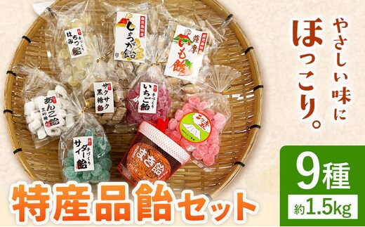 特産品飴セット 9種 約1.5kg 山下製菓《30日以内に出荷予定(土日祝除く)》鹿児島県 さつま町 鹿児島 特産品 飴 アメ あめ お菓子 セット 送料無料---stm-yms-1-9syu---