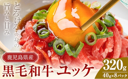 鹿児島県産黒毛和牛ユッケ 320g 40g×8パック 株式会社カミチク《90日以内に出荷予定(土日祝除く)》鹿児島県 さつま町 鹿児島県産 黒毛和牛 ユッケ 生食用 小分け タレ付き---stm-kmc-4-8p---