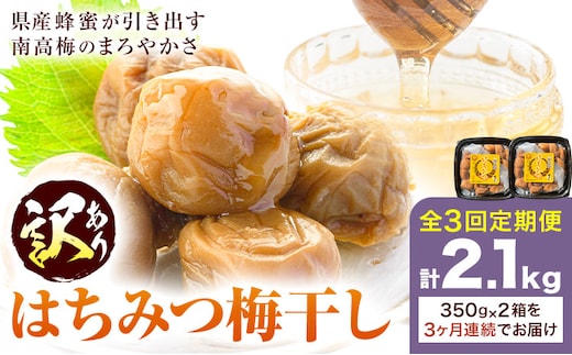 訳あり はちみつ漬け梅干し 350g×2 定期便 連続 3回 農事組合法人 梅香丘《お申込みの翌月出荷》鹿児島県 さつま町 うめぼし 蜂蜜 お取り寄せ プレゼント---stm-umk-2-mo3---
