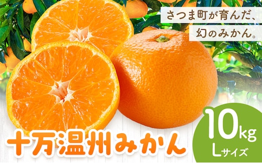 十万温州みかん L 10kg 田野農園《12月中旬-3月中旬頃出荷》鹿児島県 さつま町 みかん 蜜柑 柑橘 果物 くだもの フルーツ ジューシー 送料無料---stm-tnn-35-10kg---
