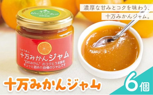 十万みかん ジャム 150g 6個 田野農園《30日以内に出荷予定(土日祝除く)》鹿児島県 さつま町 みかん 蜜柑 柑橘 果物 くだもの フルーツ ジューシー 送料無料---stm-tnn-5-6k---