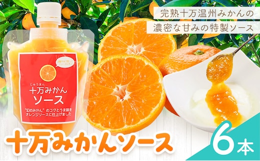 十万みかん ソース 170g 6本 田野農園《30日以内に出荷予定(土日祝除く)》鹿児島県 さつま町 みかん 蜜柑 柑橘 果物 くだもの フルーツ ジューシー 送料無料---stm-tnn-3-6p---