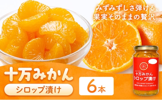 十万みかん シロップ漬け 170g 6本 田野農園《30日以内に出荷予定(土日祝除く)》鹿児島県 さつま町 みかん 蜜柑 柑橘 果物 くだもの フルーツ ジューシー シロップ 送料無料---stm-tnn-7-6k---